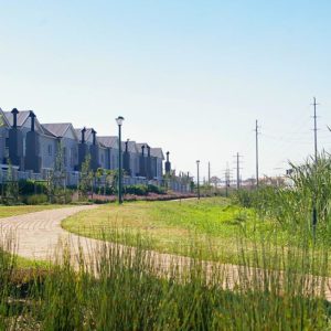 Jogging & Cycling Trails